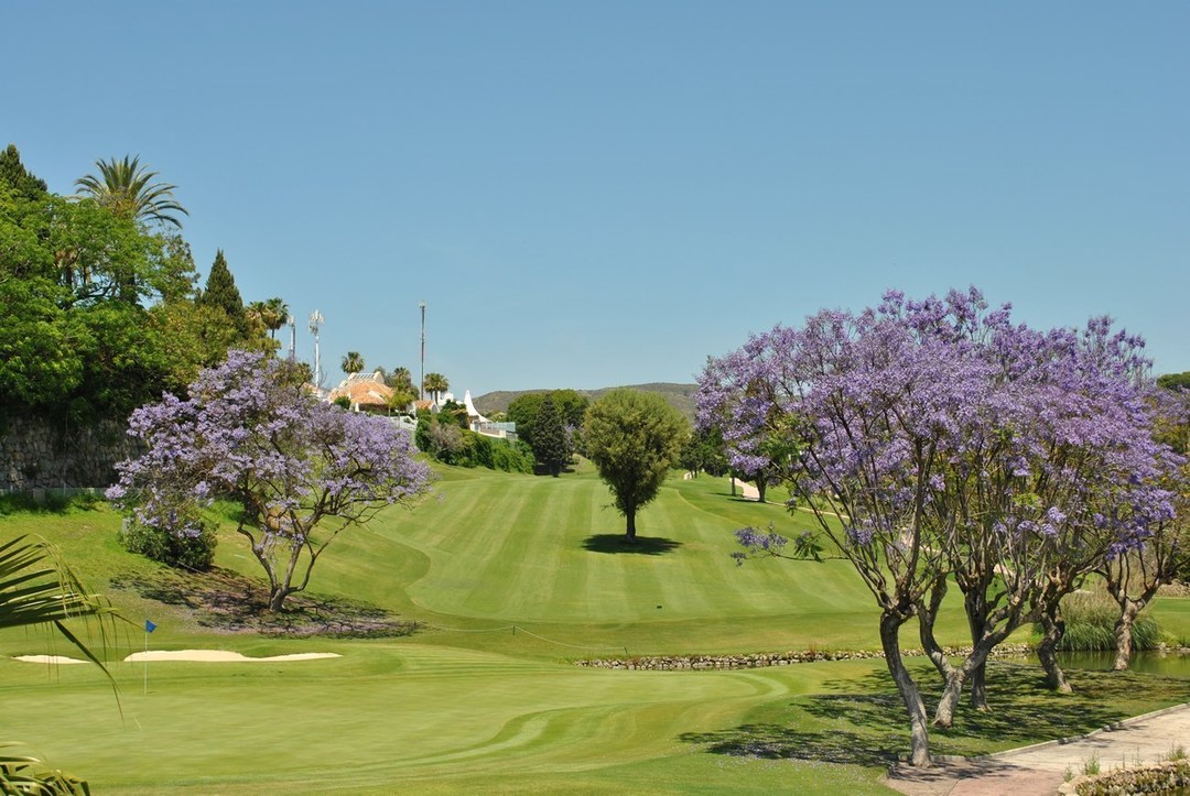 zdjęcie lokalizacji